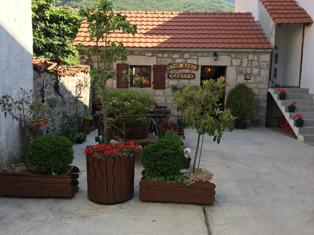 Bnb Njeguska Sijela Njegusi Экстерьер фото